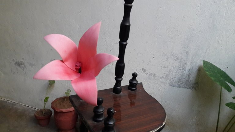 20180705_172919.jpg