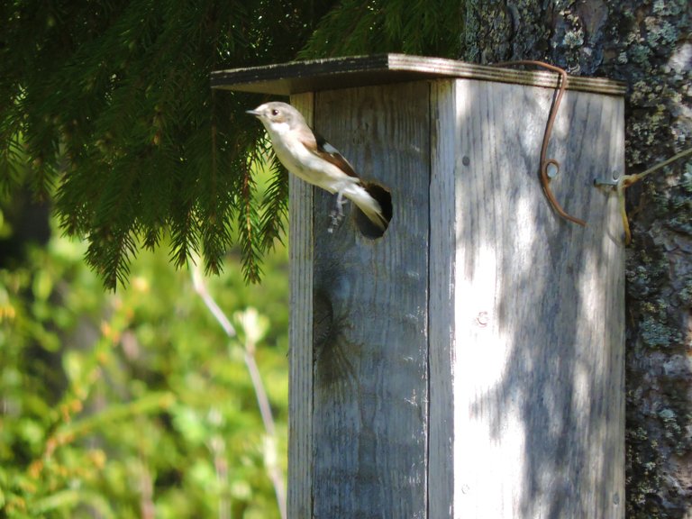 DSCN4165.JPG
