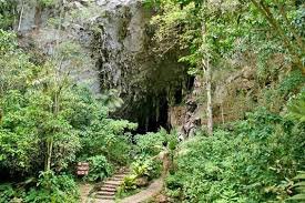 cueva del guacharo venezuela.jpg