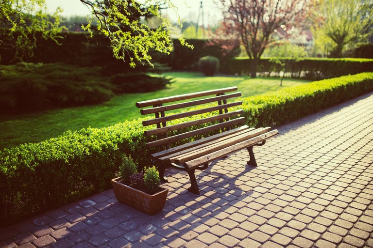 bench-garden-grass-evening.jpg