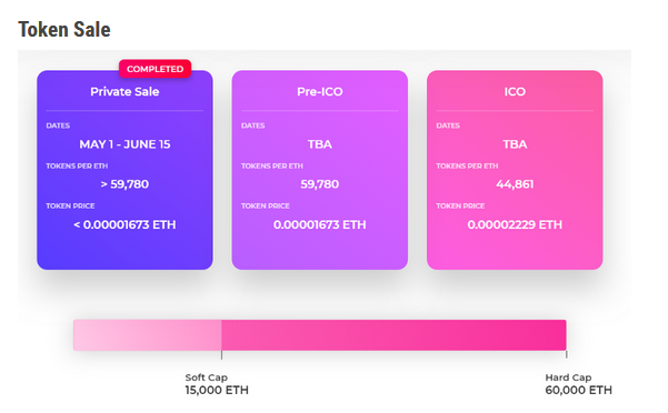 vidy token sale.PNG