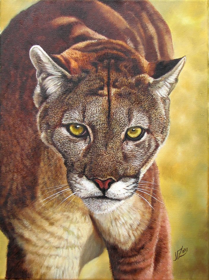 _puma_30x40-2.jpg