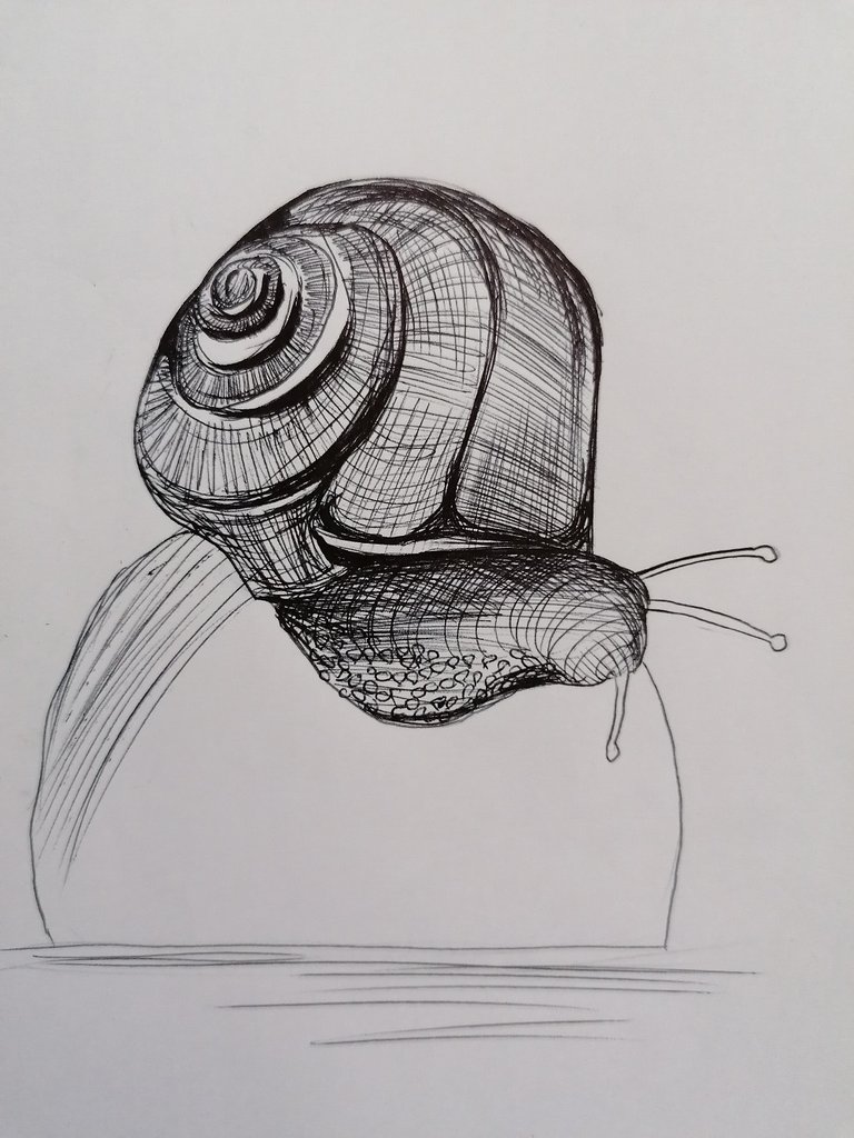 snail pen (10).jpg