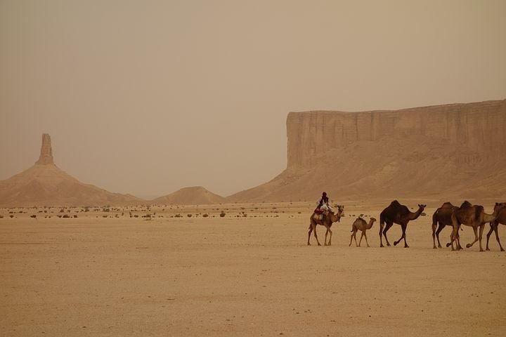 camel-train-3408458__480.jpg