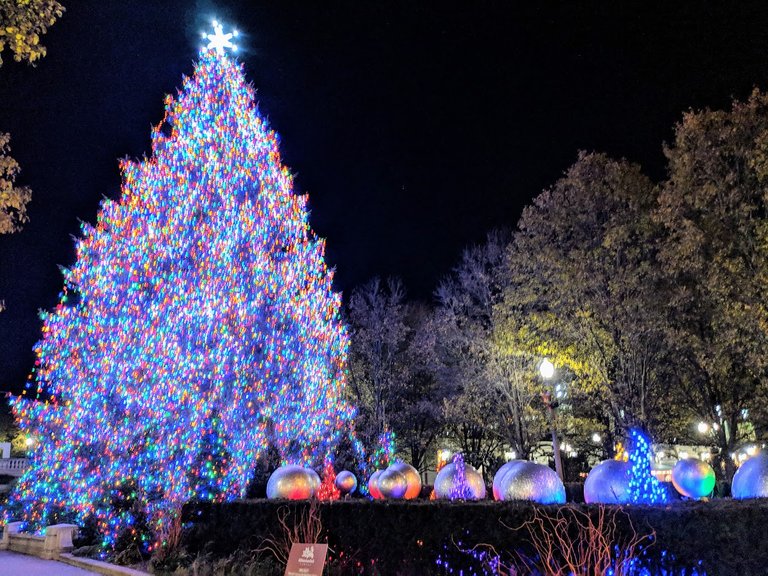 20181207 Xmas Tree Michigan.jpg