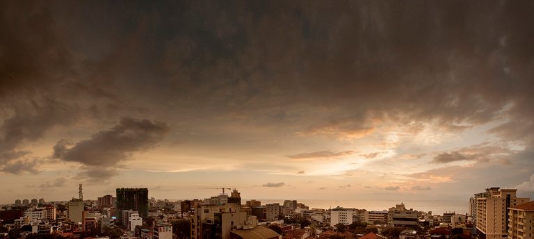 rooftops coombo.jpg