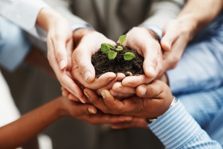 hands-holding-seedling-849x565 (1).jpg