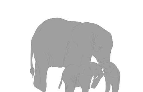 elefante 2.png