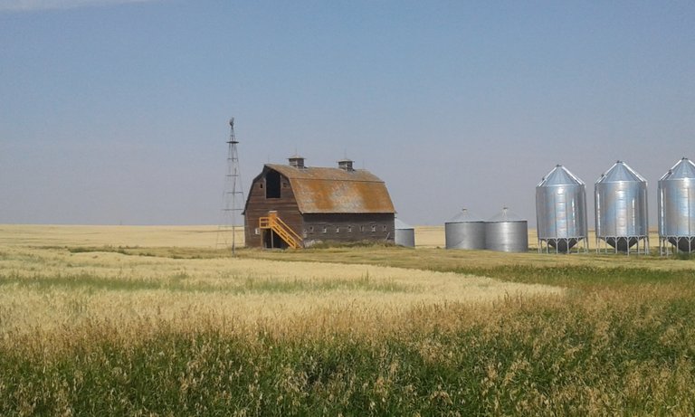 farm 02.jpg