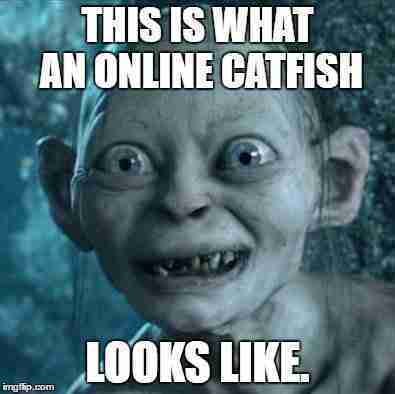 catfish-meme-3.jpg