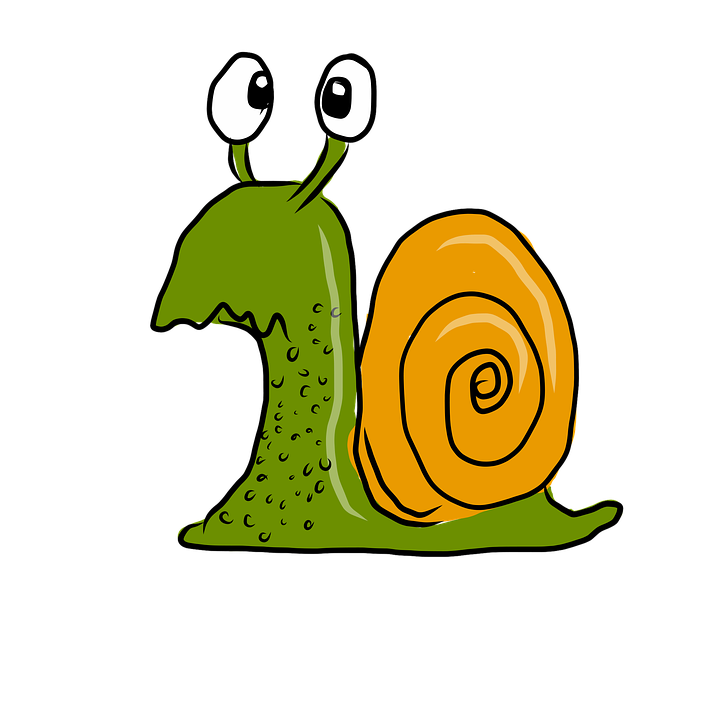 snail.png