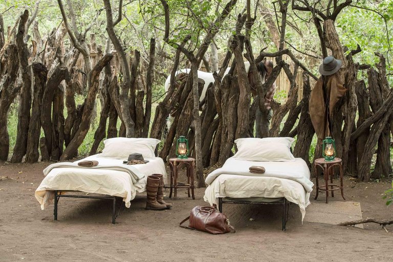 mashatu-game-reserve-botswana-safari-tented-camp.jpg