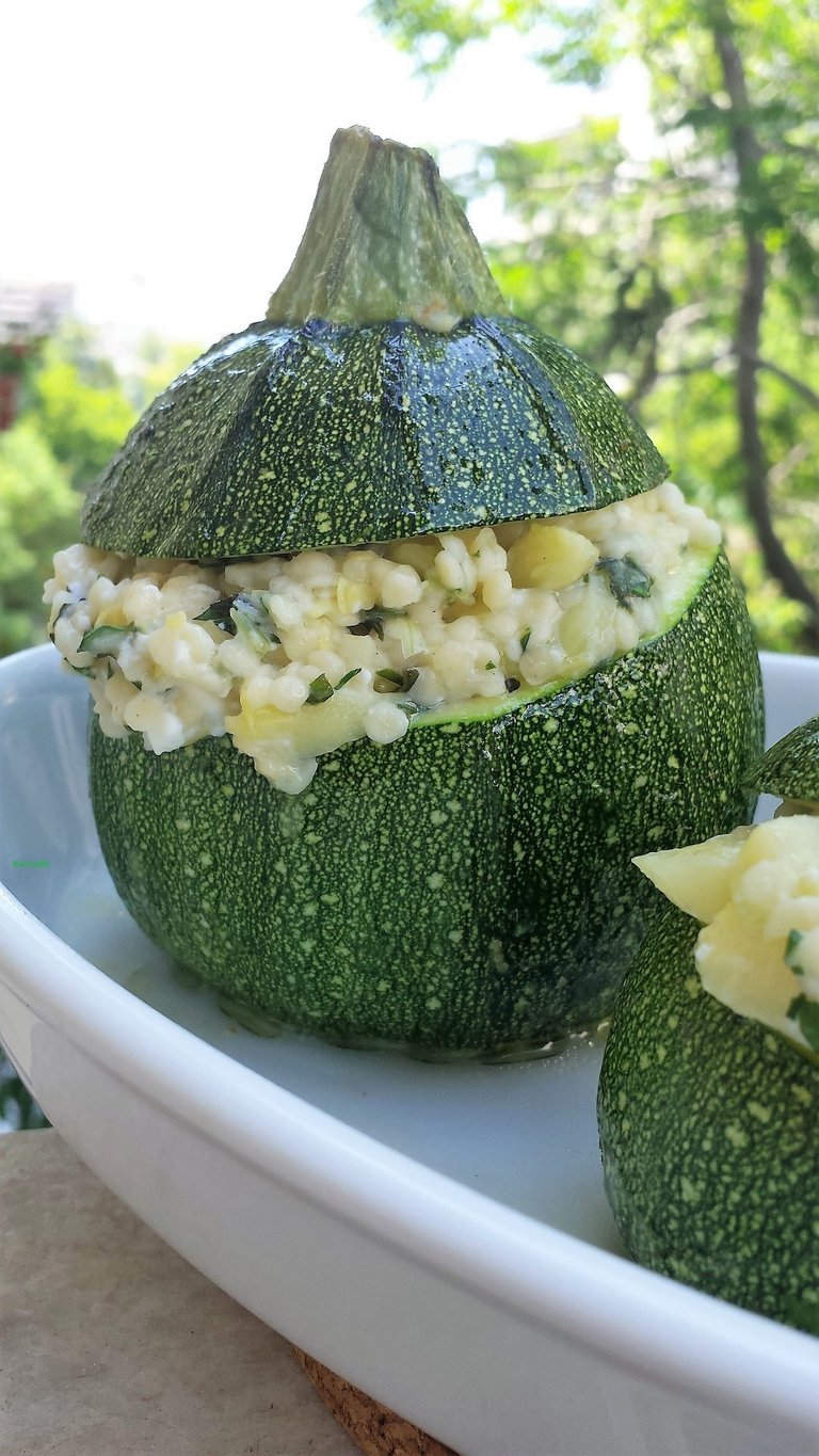 Stuffed Round Zucchini with cap (Large).jpg