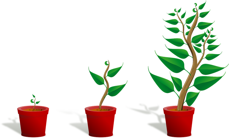 Pixabay - steembasicincome sponsorship - sapling-154734_1280.png