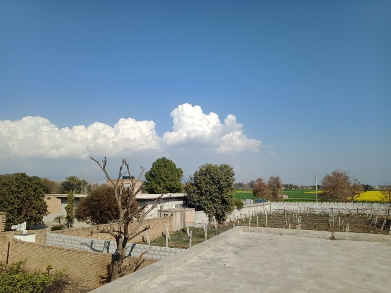 IMG20220223143837.jpg