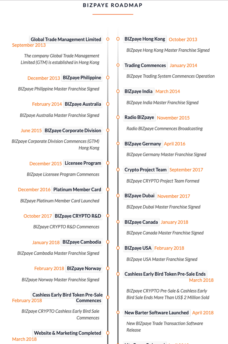 Bizpaye roadmap1.png