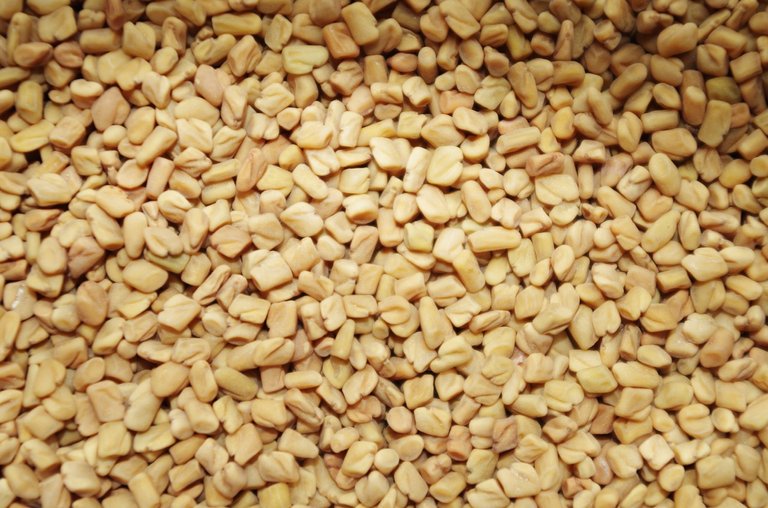 fenugreek-1049596_1280.jpg