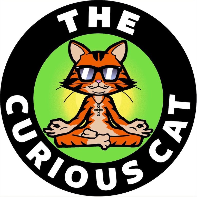 TheCuriousCat 2.jpg