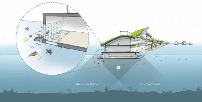 seasteading_i5-650x328.webp