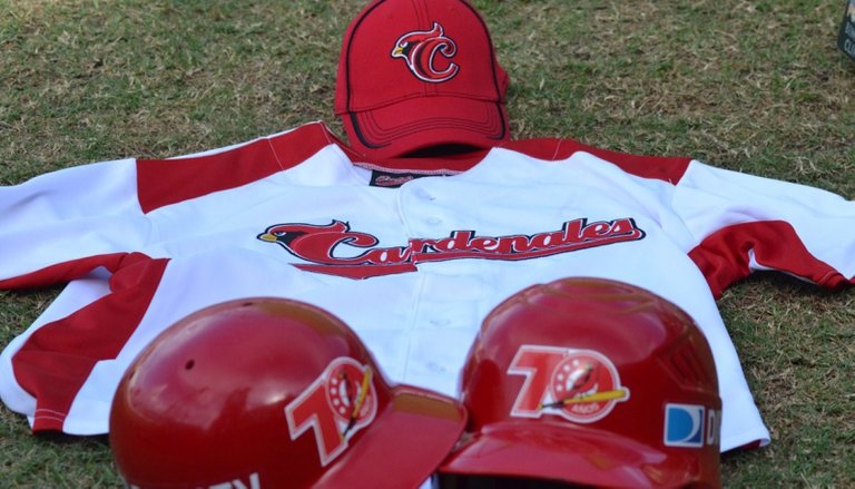 cardenales2.jpg