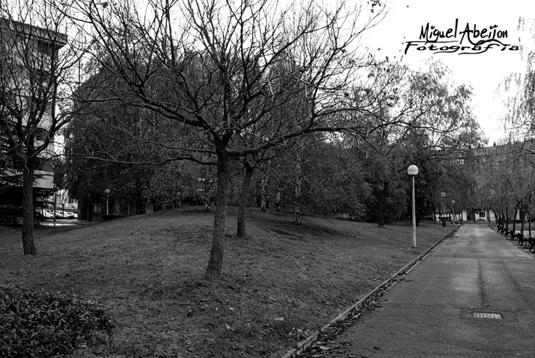 Parke Black and white.jpg