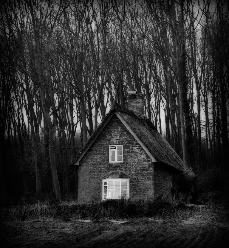 cottage-in-the-woods-mono-orton-copy1.jpg