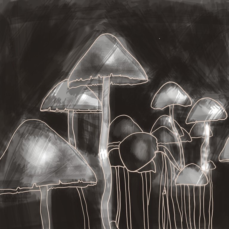 mushrooms-2821580_1280.jpg