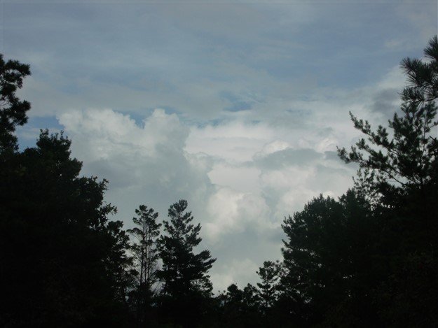 GEDC0172.jpg