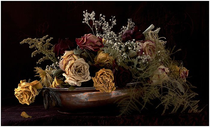 dead_flowers_in_hdr_by_thom_b_foto.jpg