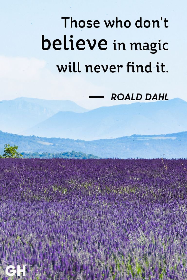 roald-dahl-life-quote.jpg