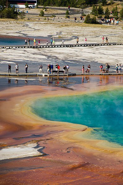 397px-A_corner_of_Grand_Prismatic_Spring-2.jpg