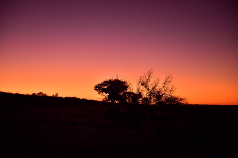 Kalahari_landscape,_Kalahari,_Northern_Cape,_South_Africa_(20531201262).jpg