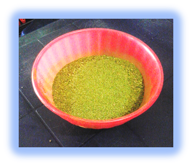 Final Moringa.png