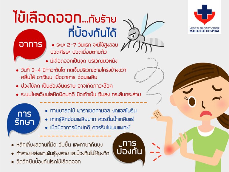 1487234917_Infoไข้เลือดออก.jpg