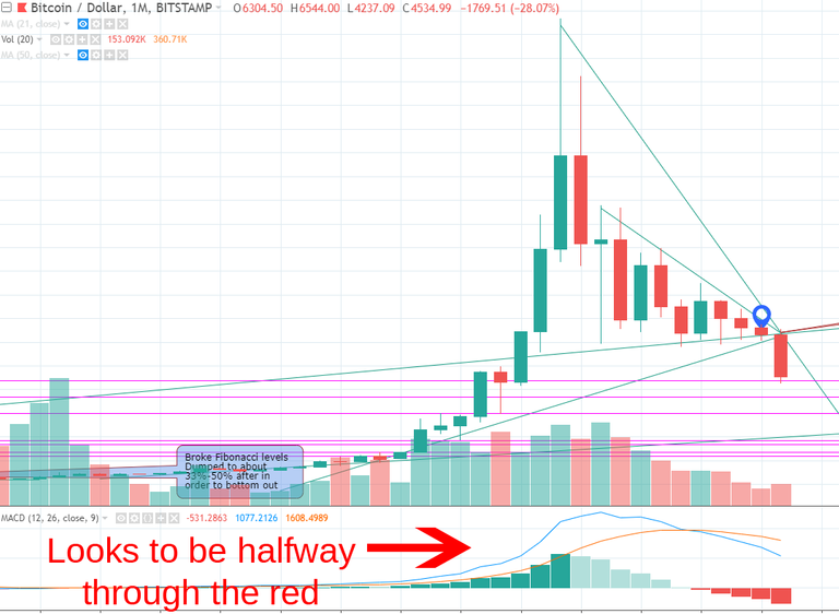 2018 bear market macd.png