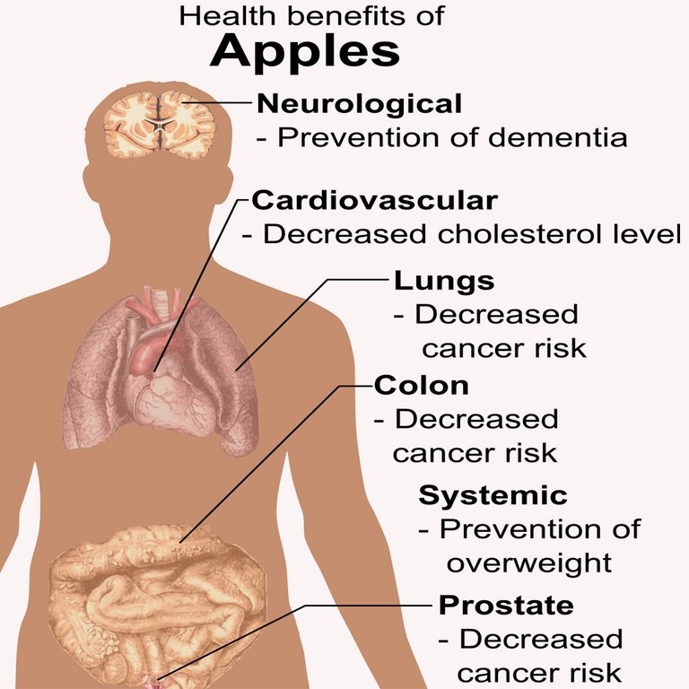 health benefits of apple.jpg