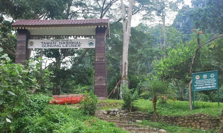 Taman-Nasional-Gunung-Leuser.jpg