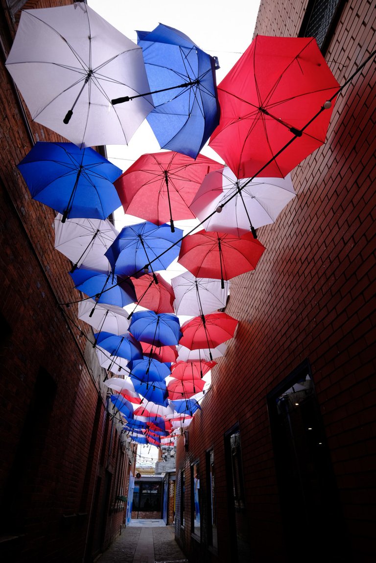 Umbrellas (1 of 1).JPG