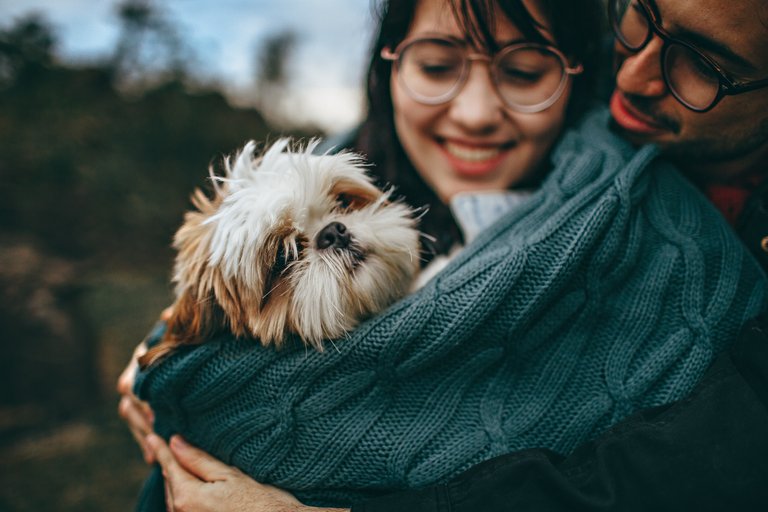 woman-and-man-hugging-dog-2055231.jpg