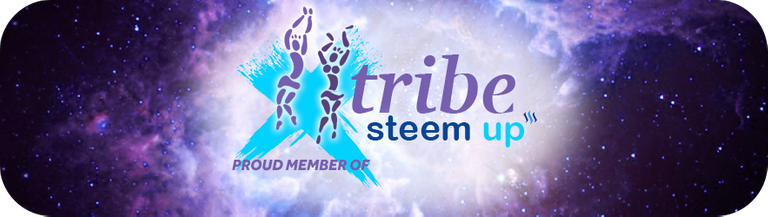 tribe-steemup-banner3.png