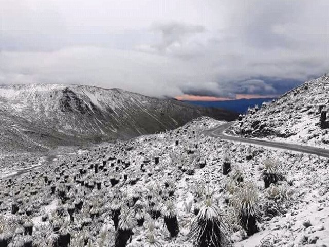 merida-nevada.jpg