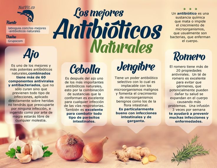 antibioticos-naturales.jpg