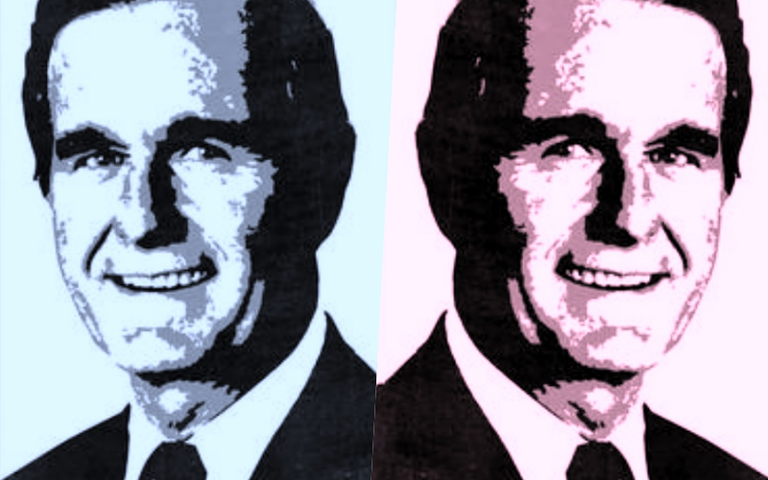 Bush v Bush 3 resize.png