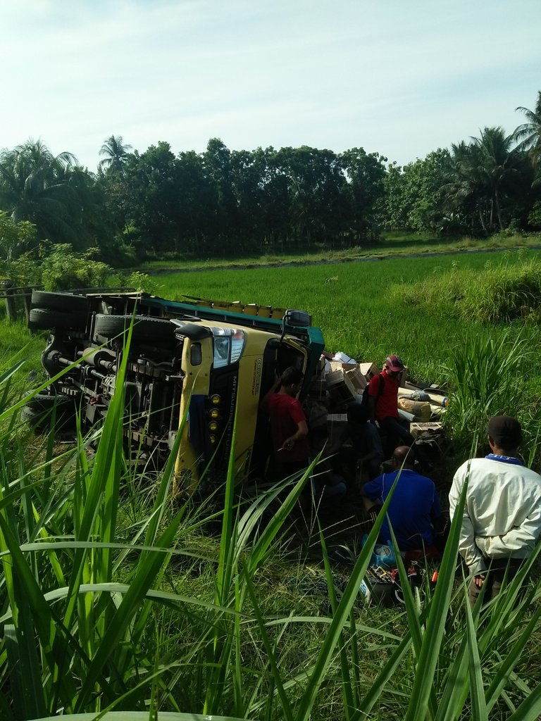 Truk Masuk Sawah2.jpg