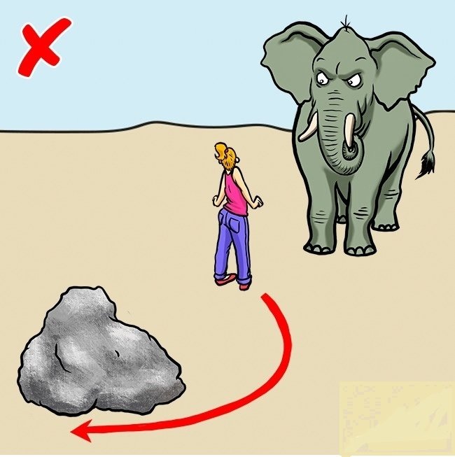 gambar elephant.jpg