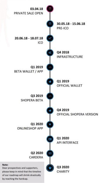 PAYERA Roadmap.jpg