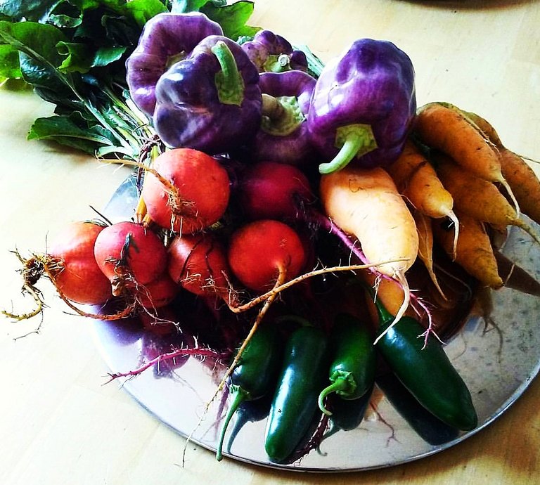 SJ MARKET FRESH VEGGIE ARRAY.jpg