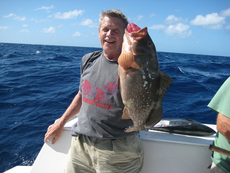 grouper-597378_1280.jpg