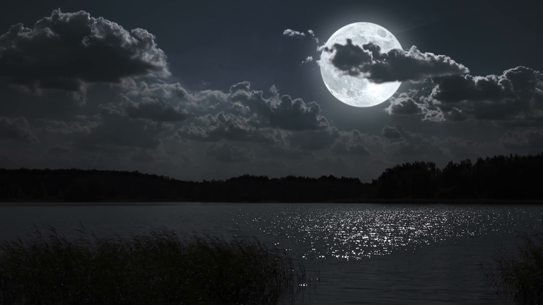 full-moon-night-landscape-with-forest-lake_e1ljf2zn0__F0000.png