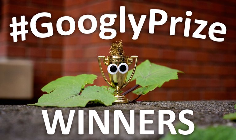 geyes__gprize_49_winners.jpg